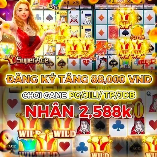 winbet